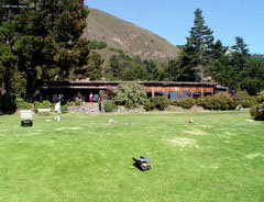 Glade in front of Esalen dining commons and admin building.