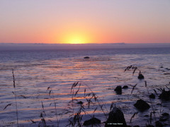 Sunset viewed from the Esalen glade.