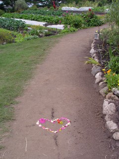 Footpath with flower petals in a heart shape.